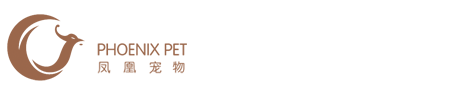 WebSun CifSeo SeoPlus